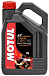 Купить MOTUL 7100 4T 20W-50  preview 1