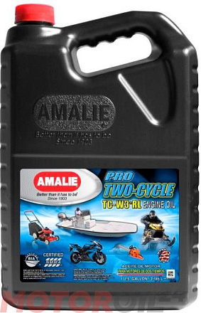 AMALIE  Pro 2-Cycle TC-W 3 RL preview 1