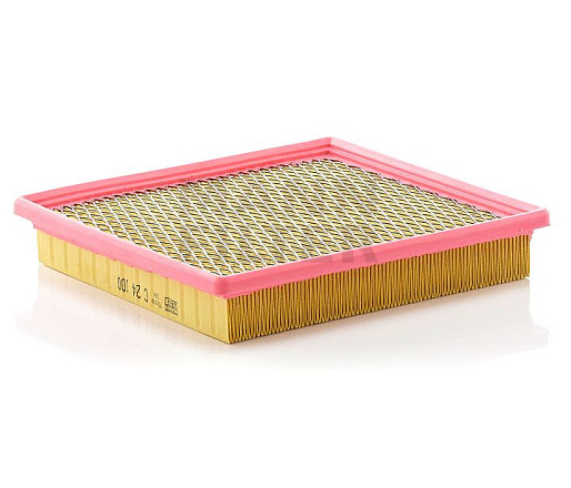 Воздушный фильтр MANN C24100 preview 1