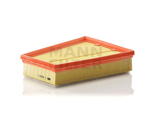 Воздушный фильтр MANN C2510/1 preview 1