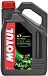 Купить MOTUL 5100 4T 10W-30  preview 1