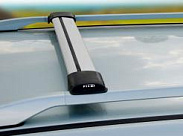 Багажник на рейлинги FICOPRO R-42 S (серебристый)