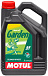 Купить MOTUL Garden 2T   preview 1