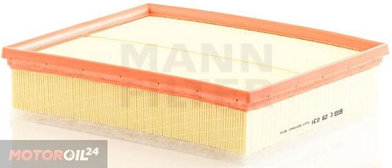 Воздушный фильтр MANN C29034 preview 1