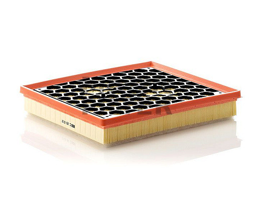 Воздушный фильтр MANN C29012 preview 1