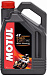 Купить MOTUL 7100 4T 10W-60  preview 1