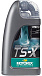 Купить MOTOREX Concept TS-X 5W-30  preview 1