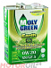 MOLYGREEN Earth SN/GF-5 0W-20 фото 1 Купить MOLYGREEN Earth SN/GF-5 0W-20  preview 1