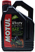Купить MOTUL ATV-UTV Expert 10W-40  preview 1