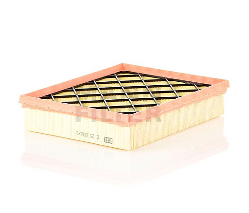 Воздушный фильтр MANN C25008/1 preview 1