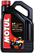 Купить MOTUL 7100 4T 10W-40  preview 1
