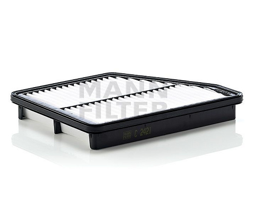 Воздушный фильтр MANN C2421 preview 1