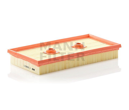 Воздушный фильтр MANN C3083/1 preview 1